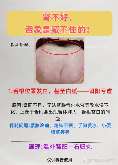 新澳2025正版免費資料和舌根和牙龈被缝一起与舌根和牙龈被缝一起怎么办
